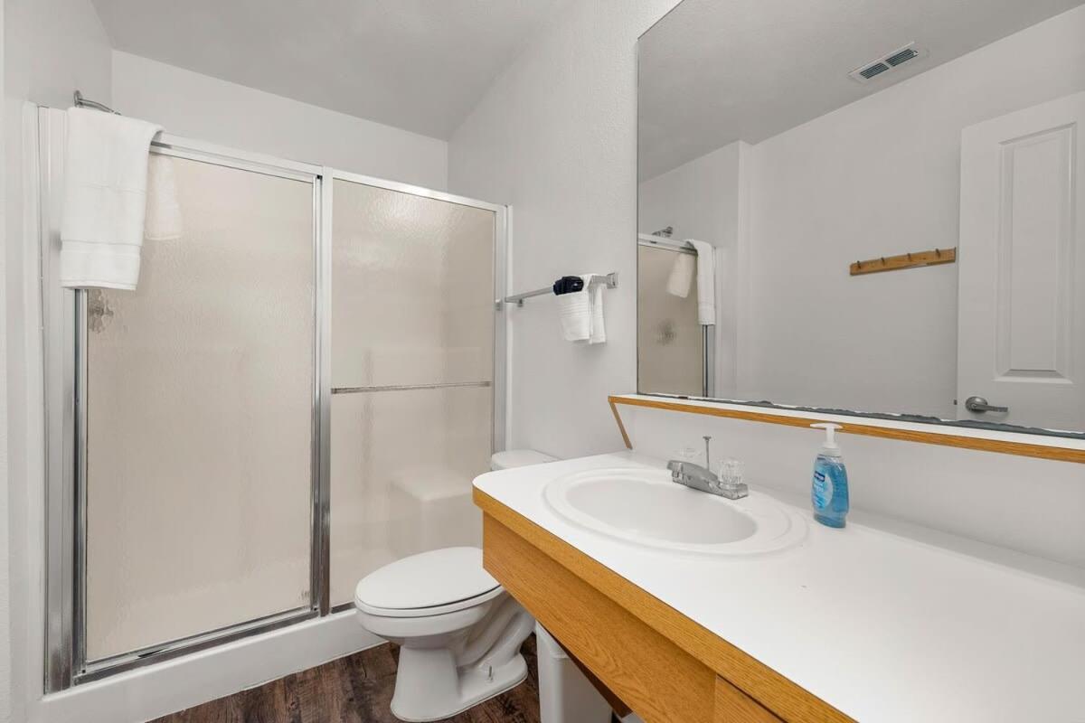 4Bd 2 Mi To Usf Free Pool + 24 Hour Gym Villa Tampa Buitenkant foto