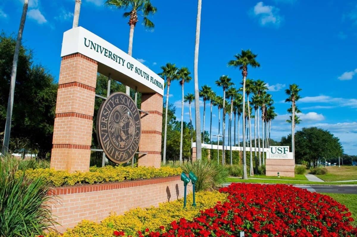 4Bd 2 Mi To Usf Free Pool + 24 Hour Gym Villa Tampa Buitenkant foto