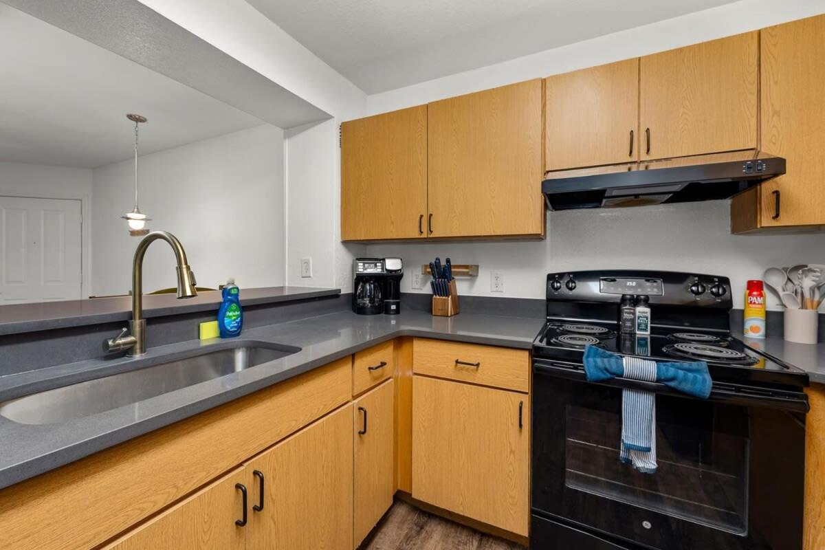 4Bd 2 Mi To Usf Free Pool + 24 Hour Gym Villa Tampa Buitenkant foto