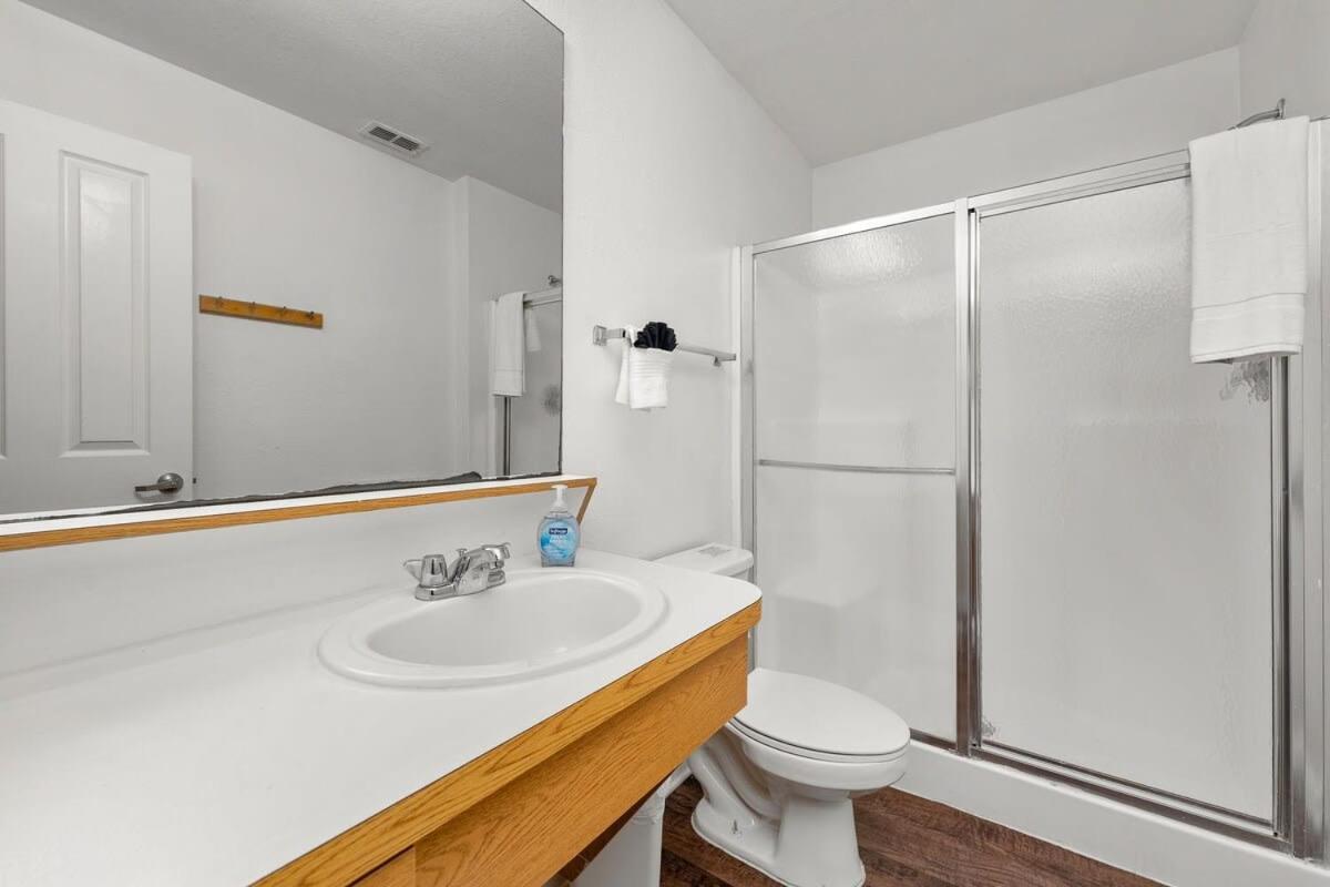 4Bd 2 Mi To Usf Free Pool + 24 Hour Gym Villa Tampa Buitenkant foto